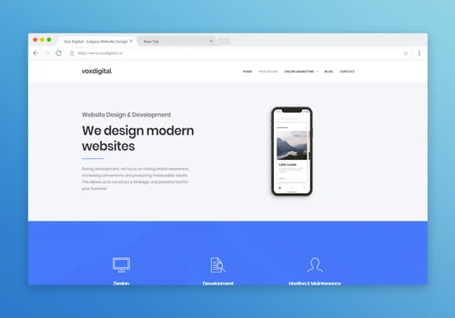 Our Website