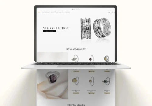 Silver Shine – Specialized High-Quality Silver Jew