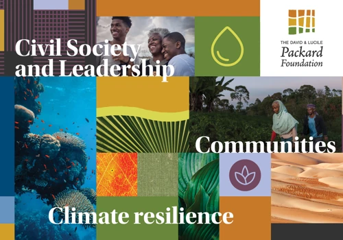 The Packard Foundation: Visual Identity