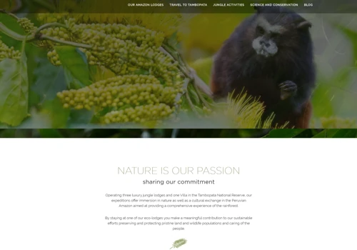 Rainforest Expedition