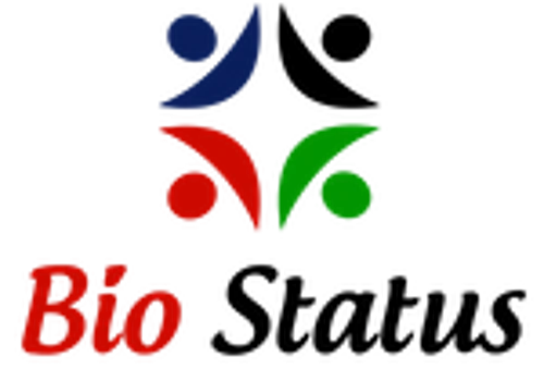 SEO and Link Building