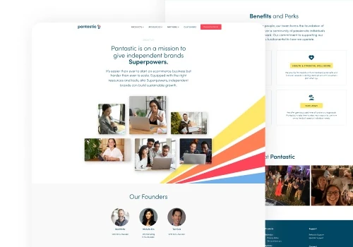 Pantastic Ongoing Design Support