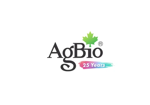 Revamp Logo