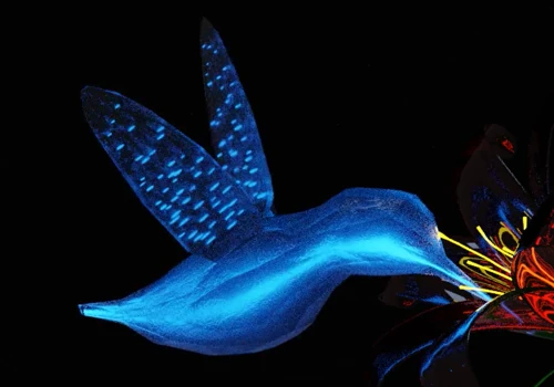Hummingbird