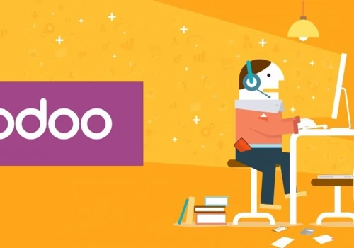 Integration of ERP-system Odoo in the retail company Man.Go