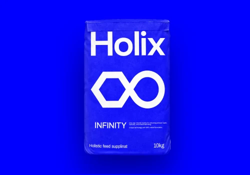 Branding & Strategy for HOLIX