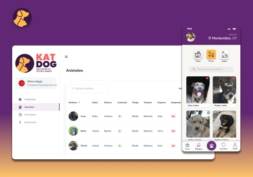 UI/UX Design, Mobile and Web Development