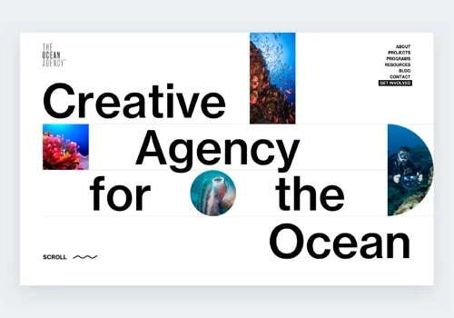 The Ocean Agency Design + Development