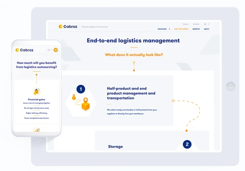Cabroz website development (WordPress)