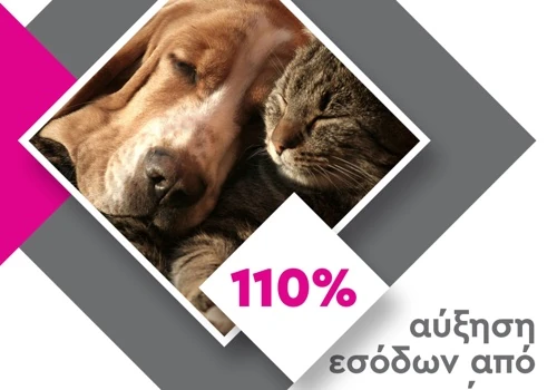 PetShop88 Google Ads Strategy