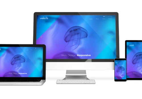 Website Design & Development