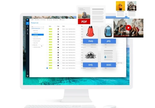 Data Asset Management