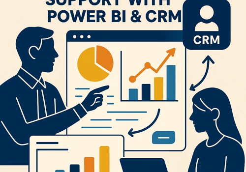 Wholescale business support with Power BI & CRM