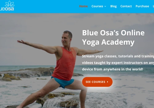 Website Design & Development, Online Marketing Strategy
