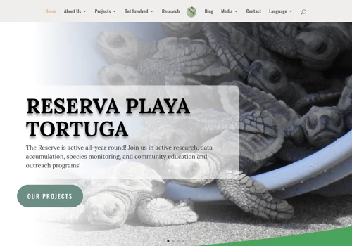Website Design & Development