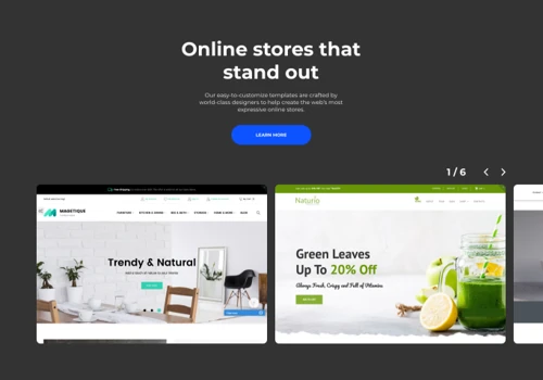SAAS  product for online shops