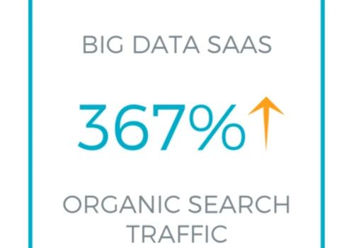 Big Data SaaS