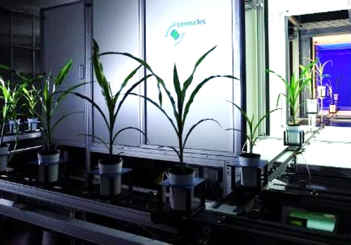 Improving quality control to solve global food shortages