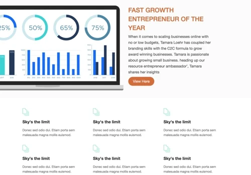 Business Website