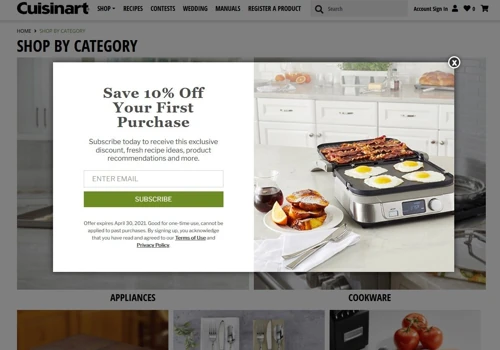 Cuisinart Email Campaigns Increase Revenue by 547%
