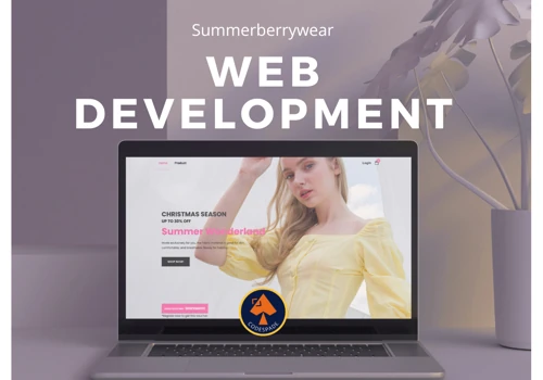 Website development with Payment & API Integration