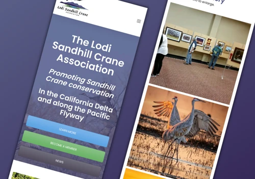 Lodi Sandhill Crane Assn