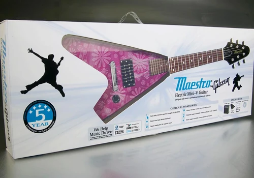 Gibson Guitar Packaging Design