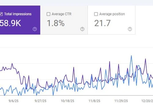 Search Engine Optimization (SEO)