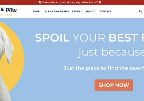 Website Development