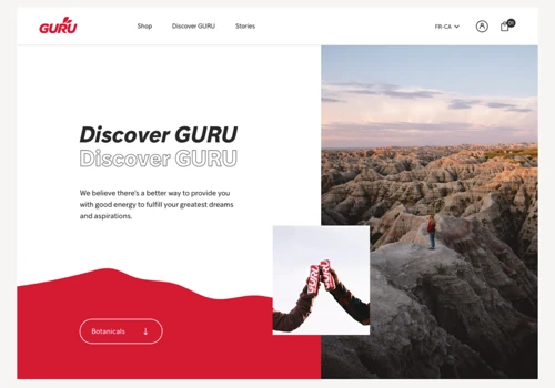 Guru Energy