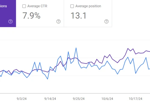 SEO Sussecc for a Leading Real Estate Company