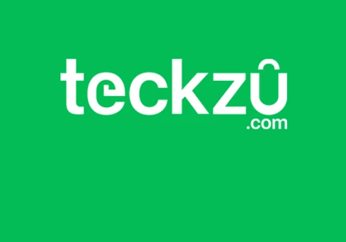 Teckzu SEO Case Study