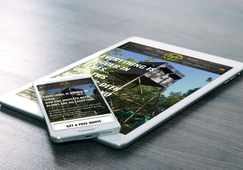 Website Design + Logo Design