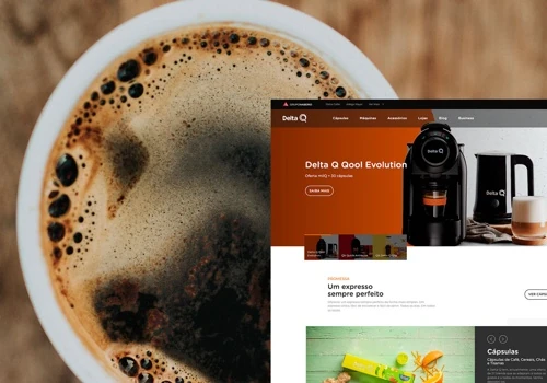 Delta Q - B2C E-commerce