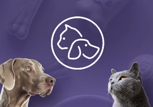 Aigan Pet Shop