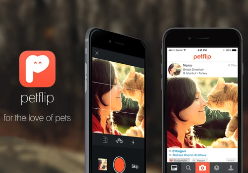 Petflip