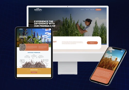 High performance web design and development
