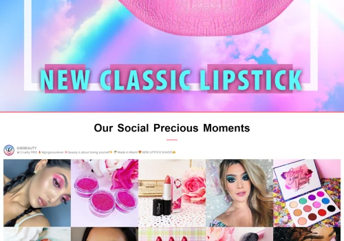 Develop Ecommerce Website