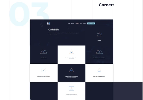 Website for data consulting company