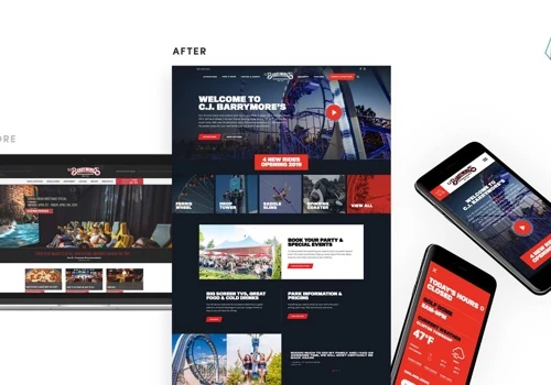 Amusement and Family Entertainment Center Website Design and Development