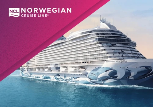 NCL increases organic traffic by 300%