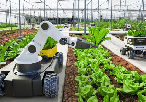 AgTech Startup