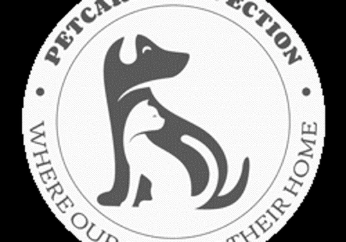 Pet Care, Cambridge UK