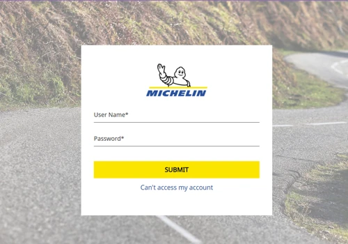 Michelin tyres