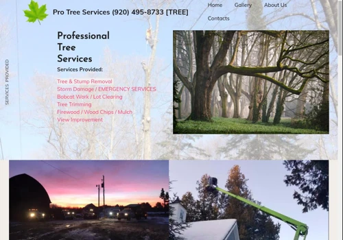Main Website
