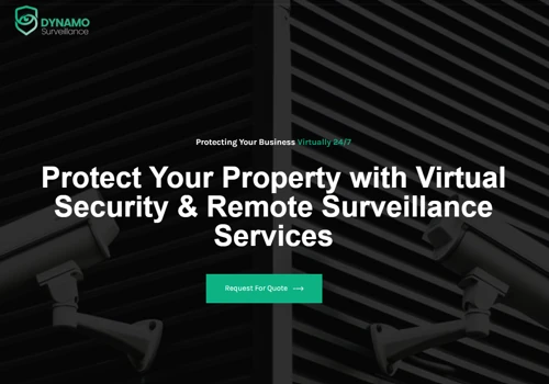 We Elevated Revenue Growth for Dynamo Surveillance
