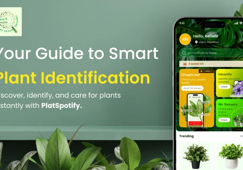 Plant Spotify: AI Plant Identifier & Care App