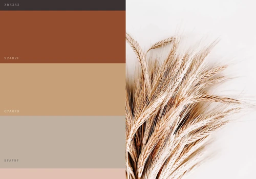 Beloved Boutique - Style Guide & Color Palette