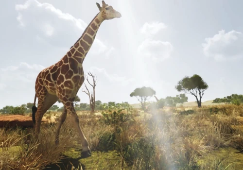 Zoo of the Future