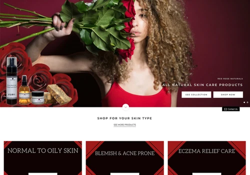 Shopify Website